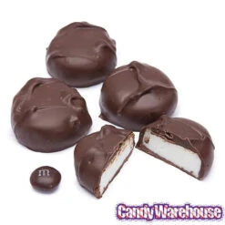 Asher's Sugar Free Chocolate Peppermint Patties - Dark: 6LB Box 6 Asher's Sugar Free Chocolate Peppermint Patties - Dark: 6LB Box -Sweet Candy Shop asher s sugar free chocolate peppermint patties dark 6lb box candy warehouse 3