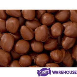 Brach's Double Dippers Milk Chocolate Covered Peanuts: 12-Ounce Bag 8 Brach's Double Dippers Milk Chocolate Covered Peanuts: 12-Ounce Bag -Sweet Candy Shop brach s double dippers milk chocolate covered peanuts 12 ounce bag candy warehouse 4 7a6bd210 22d2 46b8 86dc 4fa28e85147b