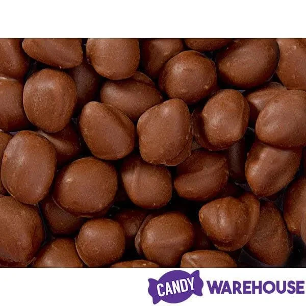 Brach's Double Dippers Milk Chocolate Covered Peanuts: 12-Ounce Bag 4 Brach's Double Dippers Milk Chocolate Covered Peanuts: 12-Ounce Bag - Image 4