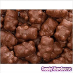Chocolate Covered Cinnamon Bears: 14-Ounce Bag -Sweet Candy Shop chocolate covered cinnamon bears 14 ounce bag candy warehouse 3