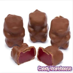 Chocolate Covered Cinnamon Bears: 14-Ounce Bag -Sweet Candy Shop chocolate covered cinnamon bears 14 ounce bag candy warehouse 4