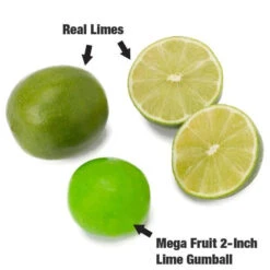 Dubble Bubble Mega Fruit 2-Inch Gumballs: 138-Piece Case 7 Dubble Bubble Mega Fruit 2-Inch Gumballs: 138-Piece Case -Sweet Candy Shop dubble bubble mega fruit 2 inch gumballs 138 piece case candy warehouse 3 7e3b768f 881f 41d7 b53e 9ee6843e3179