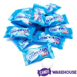 Mentos Mint Candy Single Packs: 385-Piece Bag -Sweet Candy Shop mentos mint candy single packs 385 piece bag candy warehouse 4
