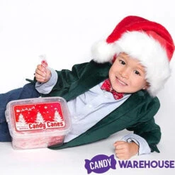Mini Candy Canes - Red And White: 100-Piece Tub -Sweet Candy Shop mini candy canes red and white 100 piece tub candy warehouse 3