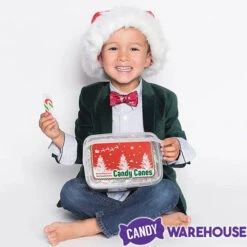 Mini Candy Canes - Red, Green, And White: 100-Piece Tub -Sweet Candy Shop mini candy canes red green and white 100 piece tub candy warehouse 3