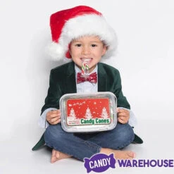 Mini Candy Canes - Red, Green, And White: 100-Piece Tub -Sweet Candy Shop mini candy canes red green and white 100 piece tub candy warehouse 4