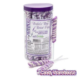 Tesla's Tiny Twist Pops - Grape: 48-Piece Jar 13 Tesla's Tiny Twist Pops - Grape: 48-Piece Jar -Sweet Candy Shop tesla s tiny twist pops grape 48 piece jar candy warehouse 7